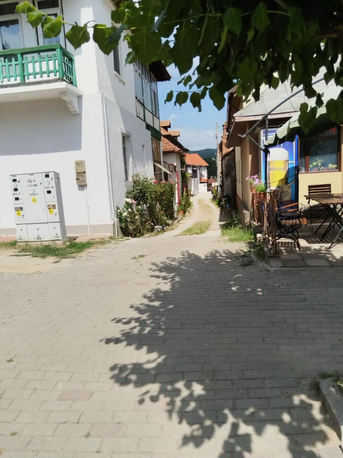 Urbanist Guest House Calimanesti Ngoại thất bức ảnh